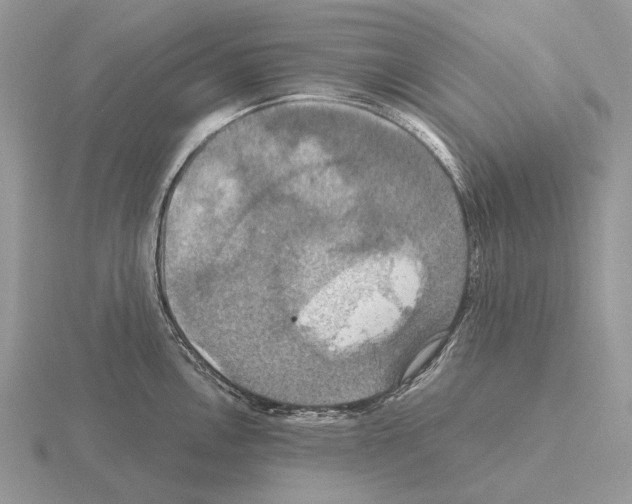 X0000115391146200912151454