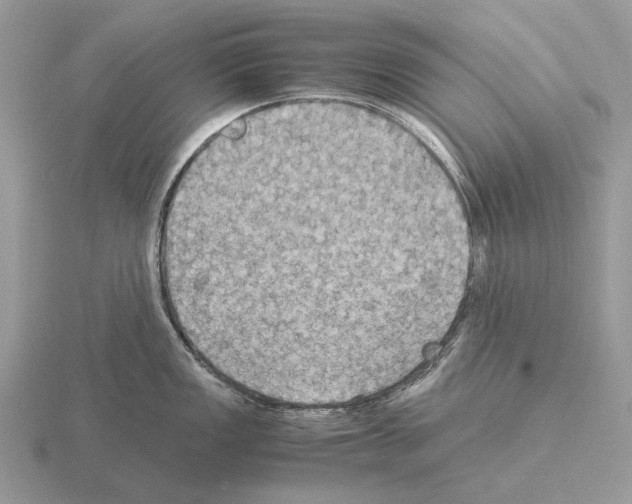 X0000115391149200912151455