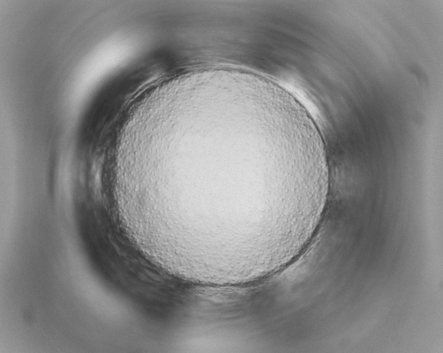 X0000115391150200912151455