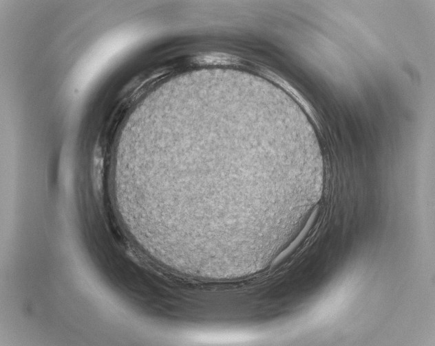 X0000115391151200912151455