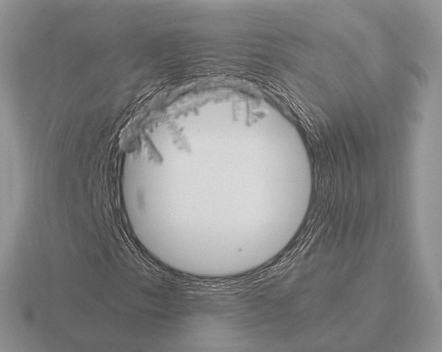 X0000115391153200912151454