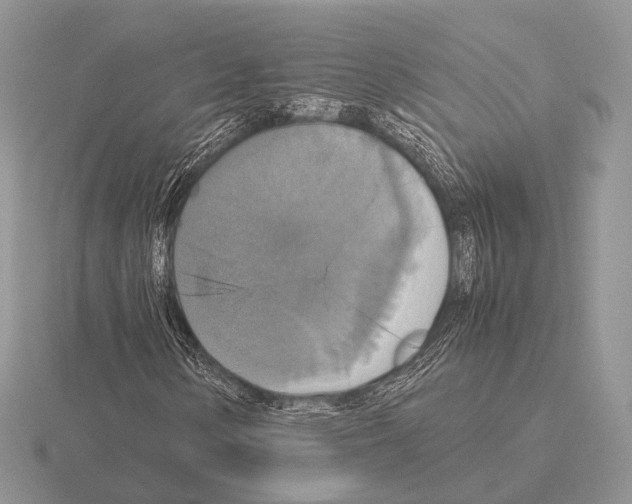 X0000115391154200912151454