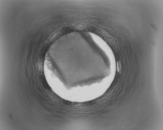 X0000115391155200912151454