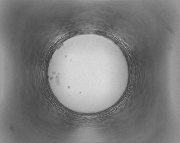 X0000115391157200912151454