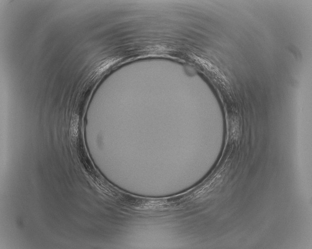 X0000115391161200912151454