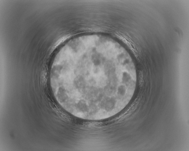 X0000115391163200912151454