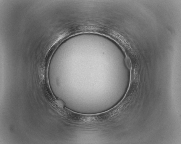 X0000115391165200912151454