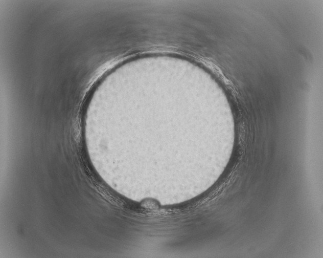 X0000115391167200912151454