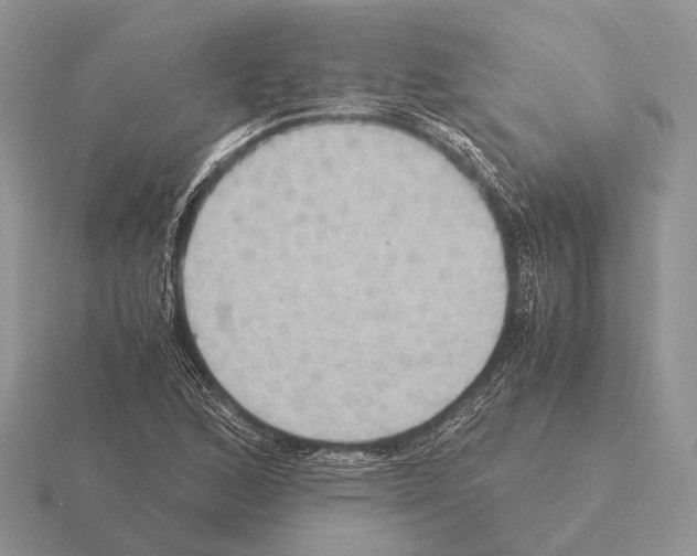 X0000115391168200912151454