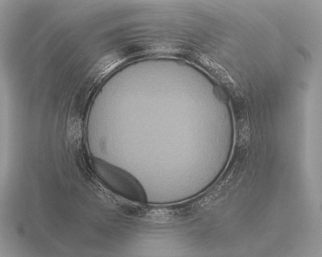 X0000115391169200912151454