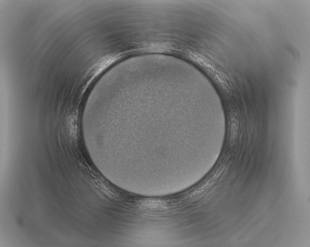 X0000115391170200912151454