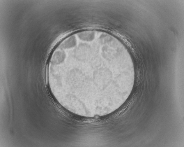 X0000115391175200912151454