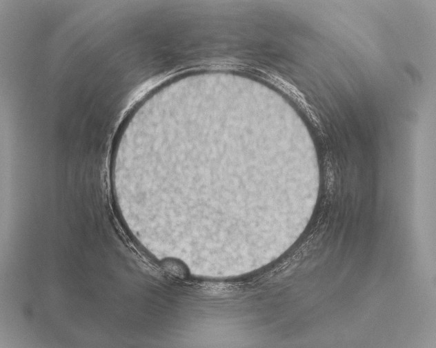 X0000115391176200912151454