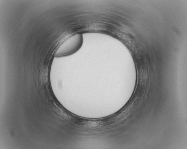 X0000115391177200912151454