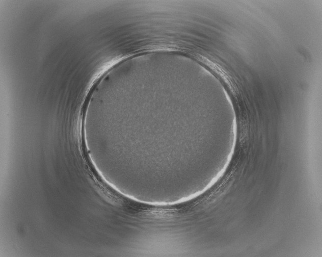 X0000115391179200912151454