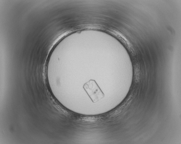 X0000115391182200912151454