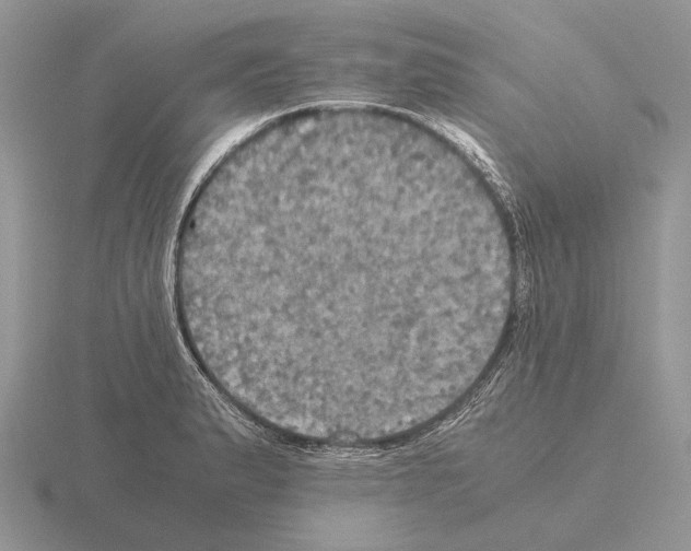 X0000115391183200912151454