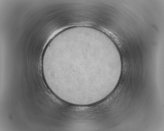 X0000115391184200912151454