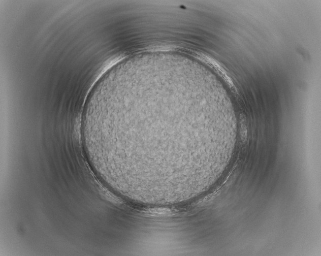 X0000115391186200912151454