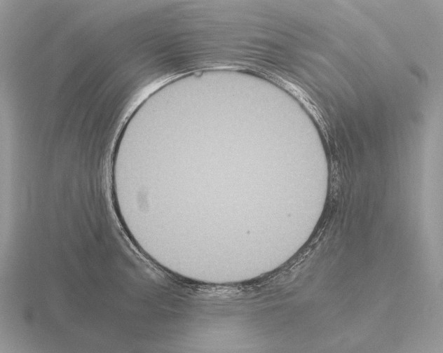 X0000115391187200912151454