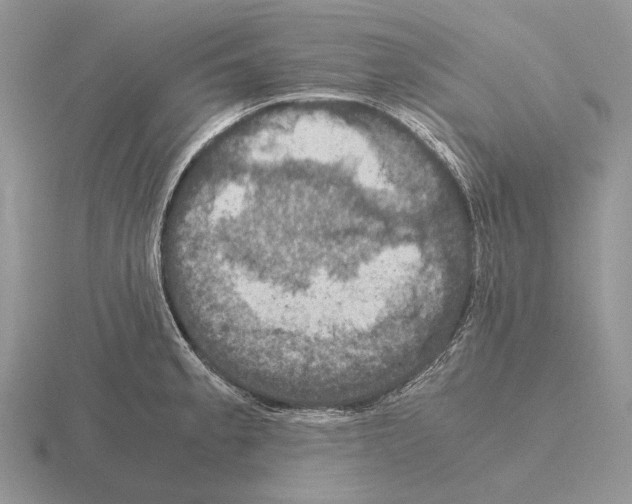 X0000115391189200912151454