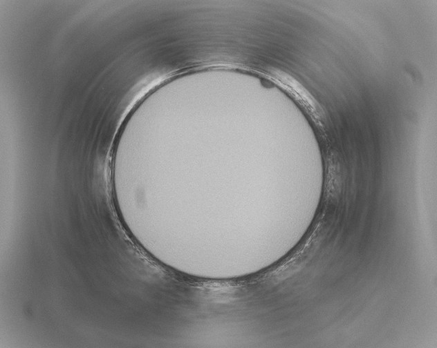 X0000115391190200912151453