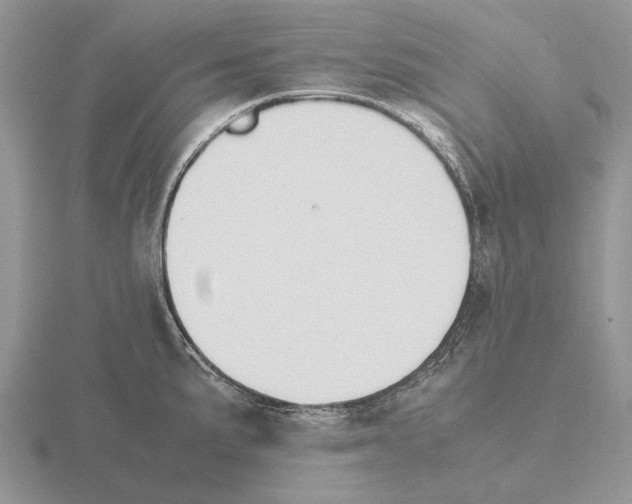 X0000115391191200912151453