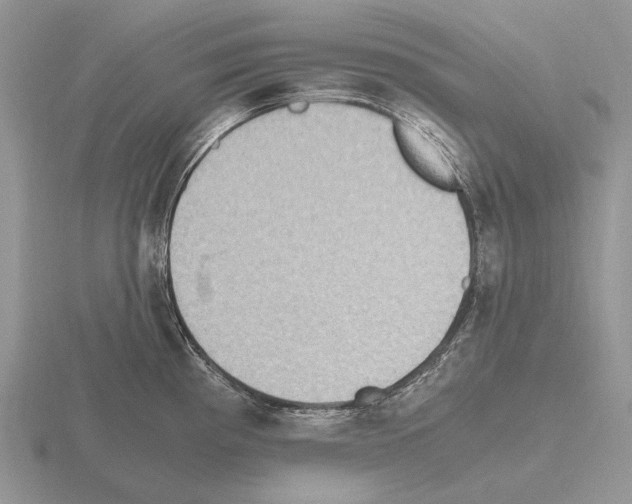 X0000115391193200912151453