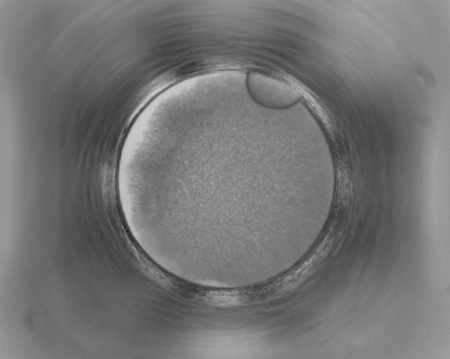 X0000115391194200912151453