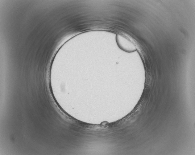 X0000115391195200912151453