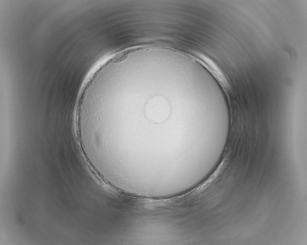 X0000115391196200912151453