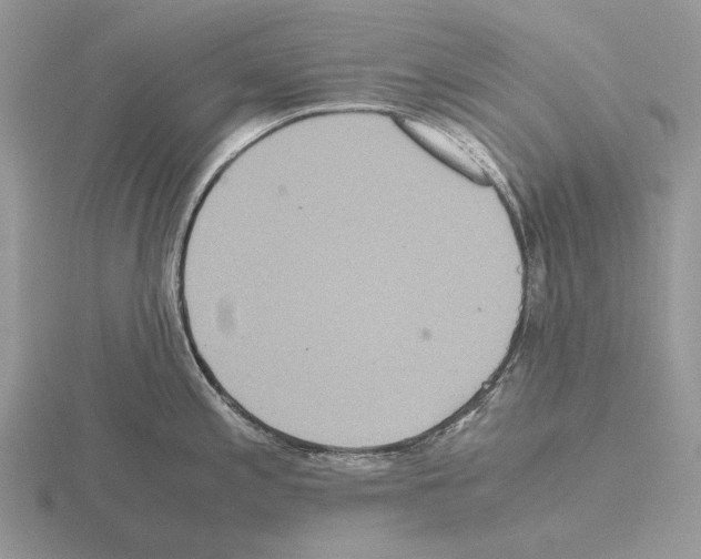 X0000115391197200912151453