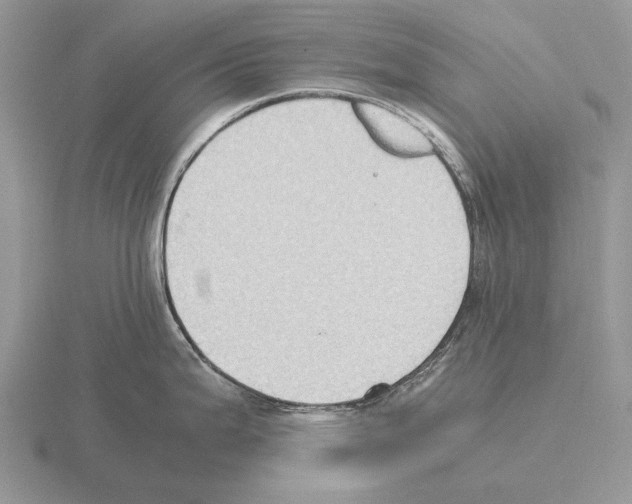 X0000115391199200912151453