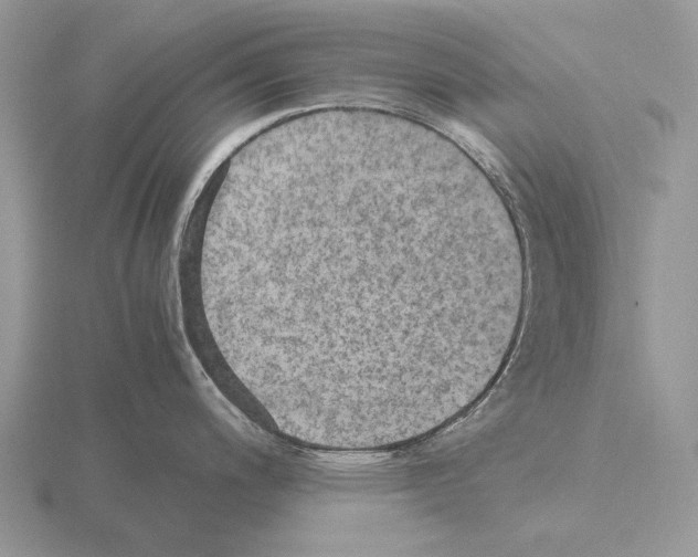 X0000115391200200912151453