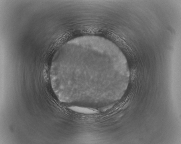 X0000115391202200912151453