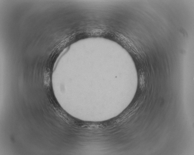 X0000115391204200912151453