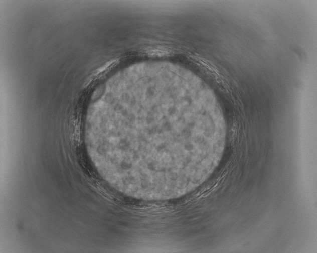 X0000115391205200912151453