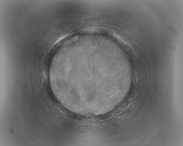 X0000115391206200912151453