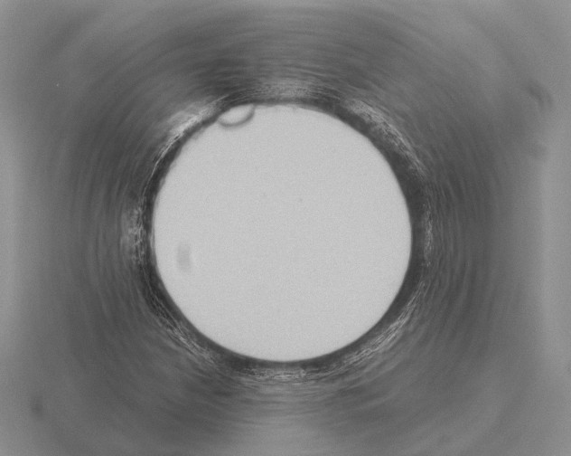 X0000115391210200912151453