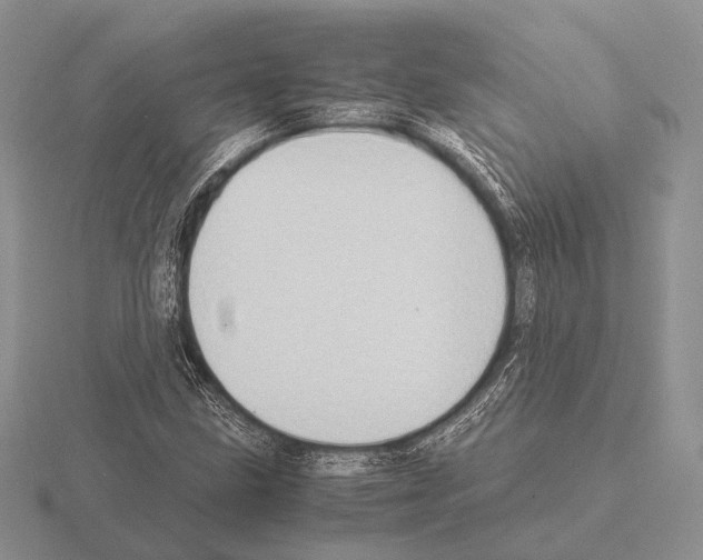 X0000115391211200912151453