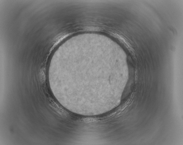 X0000115391212200912151453