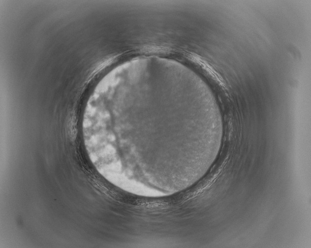 X0000115391213200912151453