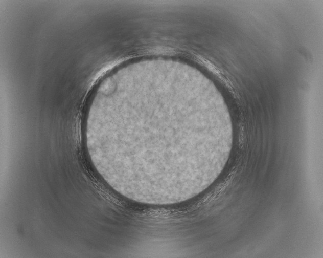 X0000115391214200912151453