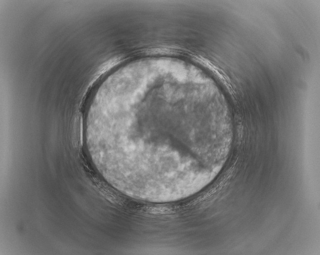 X0000115391219200912151453