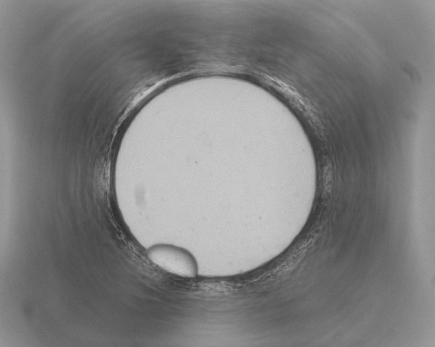 X0000115391220200912151453