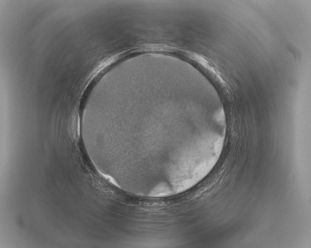 X0000115391221200912151453