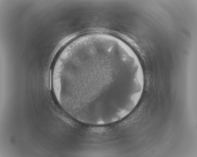 X0000115391223200912151453