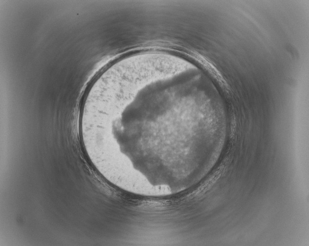 X0000115391224200912151453