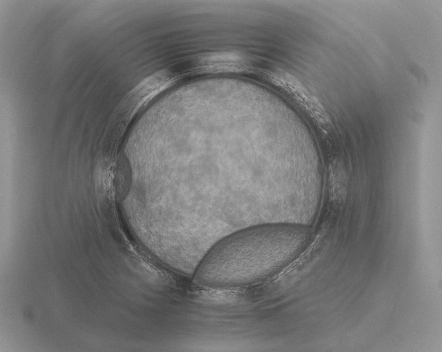 X0000115391225200912151453