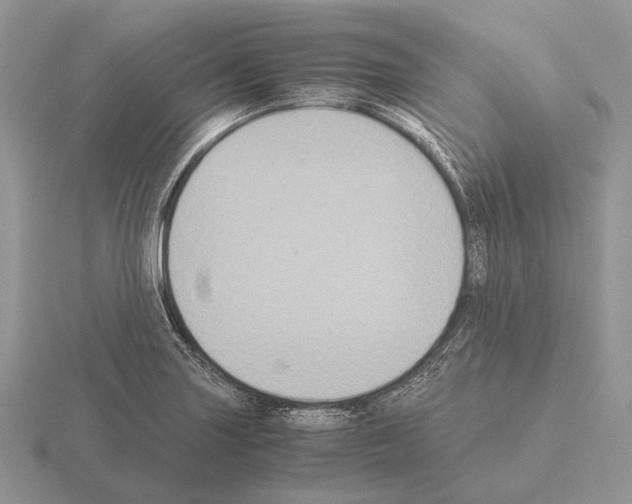 X0000115391227200912151453